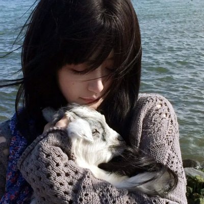 地下室的7人
